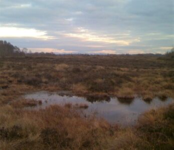 Butter That Stays Good for 3,000 Years Image